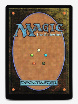 The Duke, Rebel Sentry [Avatar: The Last Airbender: Eternal-Legal] MTG ? - Image 2