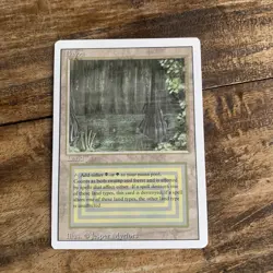 Mtg Bayou. Revised. Mint #3 - Image 1