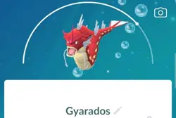 Shiny Gyarados - Pokemon Go - Image 1