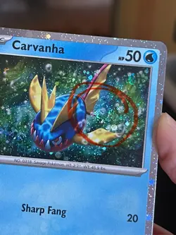POKEMON CARVANHA SVP093 PROMO BLACK STAR COSMOS HOLFOIL WITH SWIRL NM CARD - Image 2
