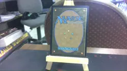 prismatic vista special guest mtg - Image 2