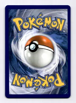 M Camerupt EX - XY198 XY Promos #XY198 (2014) Promo Holo NM Pokemon - Image 2