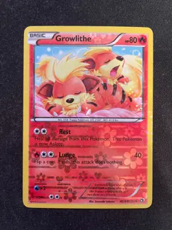 Growlithe RC4/RC25 Legendary Treasures Radiant Collection Pokemon TCG -LP+ - Image 1