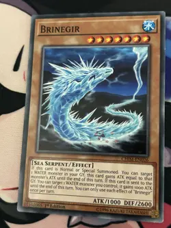 Brinegir - CHIM-EN026 - Common 1st Edition Yugioh - Image 1
