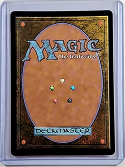 2025 MTG Magic the Gathering Innistrad Remastered Poster Foil Cathars Crusades - Image 2