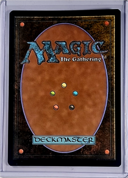 2024 MTG Magic The Gathering SLD Secret Lair Poster Foil #1817 Winds of Abandon - Image 2