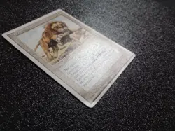 MTG Magic the Gathering Alternate 4th Savannah Lions - Image 4