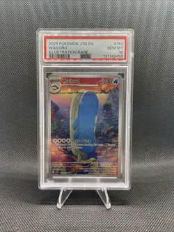 2025 POKEMON JTG EN-JOURNEY TOGETHER #162 WAILORD ILLUSTRATION RARE PSA 10 - Image 1