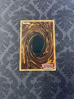 Rallis the Star Bird - POTD-EN007 - 1st Edition - YuGiOh - Image 2