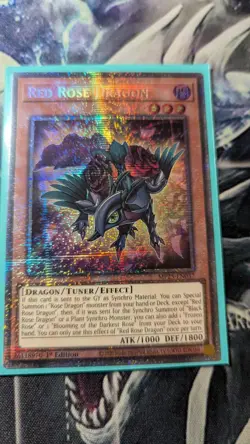 Yugioh Red Rose Dragon - MP25-EN037 - 1st Starlight Rare NM - Image 1
