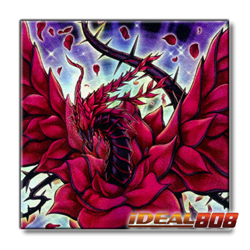 PRE-SALE YUGIOH x3 L5DD-ENA26 BLACK ROSE DRAGON - COMMON 1st EDITION - Image 1