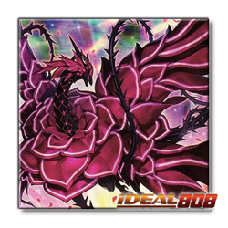 PRE-SALE YUGIOH x3 L5DD-ENA32 RUDDY ROSE DRAGON - COMMON 1st EDITION - Image 1