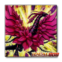 PRE-SALE YUGIOH x3 L5DD-ENA28 BLACK ROSE MOONLIGHT DRAGON - COMMON 1st EDITION - Image 1