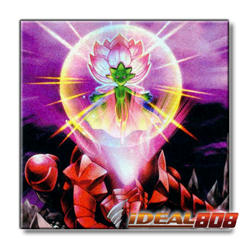 PRE-SALE YUGIOH x3 L5DD-ENY25 ONE FOR ONE - COMMON 1st EDITION - Image 1