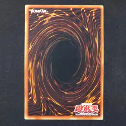Dragon Zombie - SDY-014 1st Edition - Yugioh Card - Image 2
