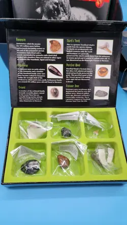 Weird N Wild Creatures Storage Box Cards Trading Cards And Fossil Collection - Image 2