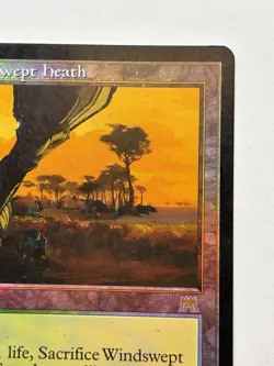 Windswept Heath Foil Onslaught MP- MTG Magic The Gathering - Image 4