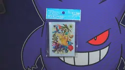[SEALED] Type Fighters Dragon Card Sleeves Japanese Pokemon Center 64 Ct - Image 1