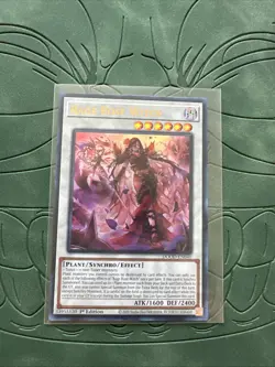 Rage Rose Witch | Ultra Rare | DOOD-EN040 | Yu-Gi-Oh! | Near Mint - Image 1