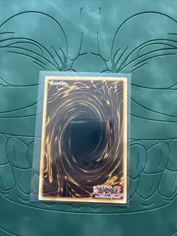Rage Rose Witch | Ultra Rare | DOOD-EN040 | Yu-Gi-Oh! | Near Mint - Image 3