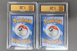 Pokemon 2022 Leafeon V 128/S-P Sword & Shield Promos Chinese LOT2 - Image 2