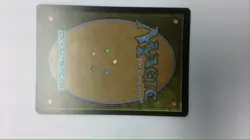 MTG Delighted Halfling Borderless Foil - Image 2