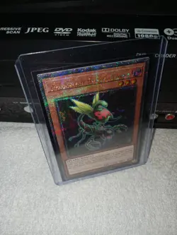 Yugioh Predaplant Ophrys Scorpio MP24-EN041 Quarter Century Secret Rare MISPRINT - Image 1
