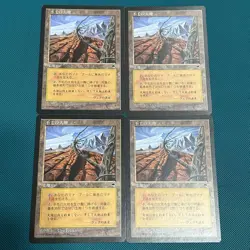 Japanese 4 Piece Set Wasteland/Wasteland Tmp Tempest - Image 1