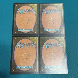 Japanese 4 Piece Set Wasteland/Wasteland Tmp Tempest - Image 2