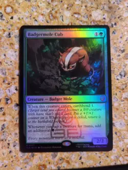 Magic the Gathering Avatar The Last Airbender: Badgermole Cub (Foil) (NM) - Image 1