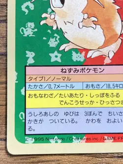Pokemon Carddass Card Topsun No. 20 Raticate Pocket Monsters Blue Back - Image 5
