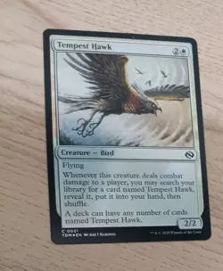 MTG - Tempest Hawk Foil - Tarkir Dragonstorm - #31 - Image 1