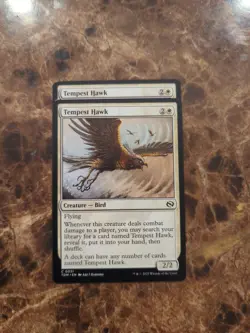 (2) Tempest Hawk Tarkir: Dragonstorm Regular NM MTG - Image 1