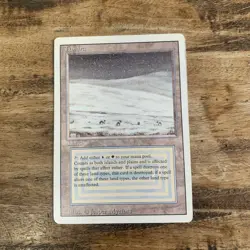Mtg Revised Tundra. NM #3 - Image 1