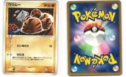 Swinub Common Pokemon TCG Rocket Gang Strikes Back 049/084 LP - Image 3