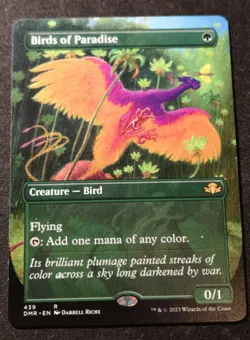 Birds Of Paradise - Borderless - DMR - MTG - EN - NM - 439 - Image 1