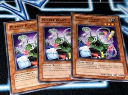 Puppet Plant x3 - STON - MP - Yu-Gi-Oh! - Image 1