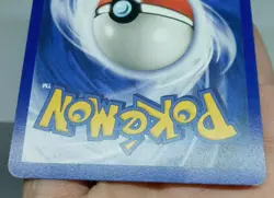 Torchic 73/109 EX RUBY & SAPPHIRE Pokemon E Reader Card Common 040718 - NM - Image 5