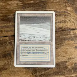 Mtg Revised Tundra. NM #2 - Image 1
