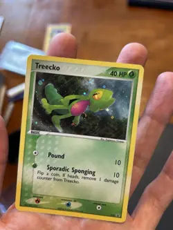 Treecko - Holo - 016 Black Star Promo - Pokemon TCG - 2004 - Image 3