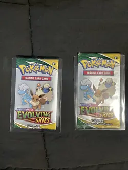 Pokemon TCG Sword & Shield Evolving Skies Fun Booster Pack - Image 1