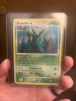 Pokemon Sceptile 4/17 POP Series 1 Promo Holo Rare HP (bundle for sceptile51) - Image 5