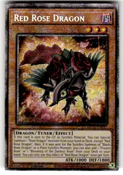 Red Rose Dragon - MP25-EN037 - NM - Starlight Rare - 1st ed - Yugioh - Image 1