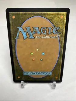 Plains (0262) (Borderless) Edge of Eternities Regular Mint / NM - Image 2