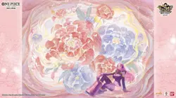 One Piece Card Game S-Chinese TCG Exclusive 3rd Anniversary Gift Box Sealed - Image 1