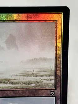 Swamp (341) - Mercadian Masques Foil ~LP~ Magic The Gathering MTG - Image 4