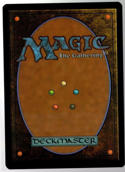 Seasoned Dungeoneer 610 Extended Art Rare Baldur's Gate Magic TCG Near Mint - Image 2