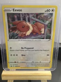 Eevee SWSH175 SWSH: Sword & Shield Promo Card Pokemon Holo - NM - Image 1