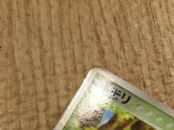 CE4498 Treecko PROMO PROMO 003/ADV-P Pokemon Card TCG Japan - Image 4