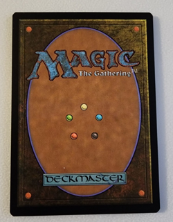 Arid Mesa - Secret Lair Series (SLU) - Magic the Gathering Card Single - Image 2